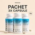 3x Lion's Mane Capsule